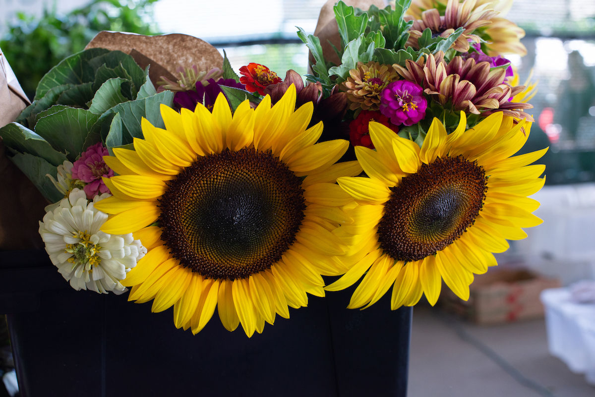 Athens Farmers Market